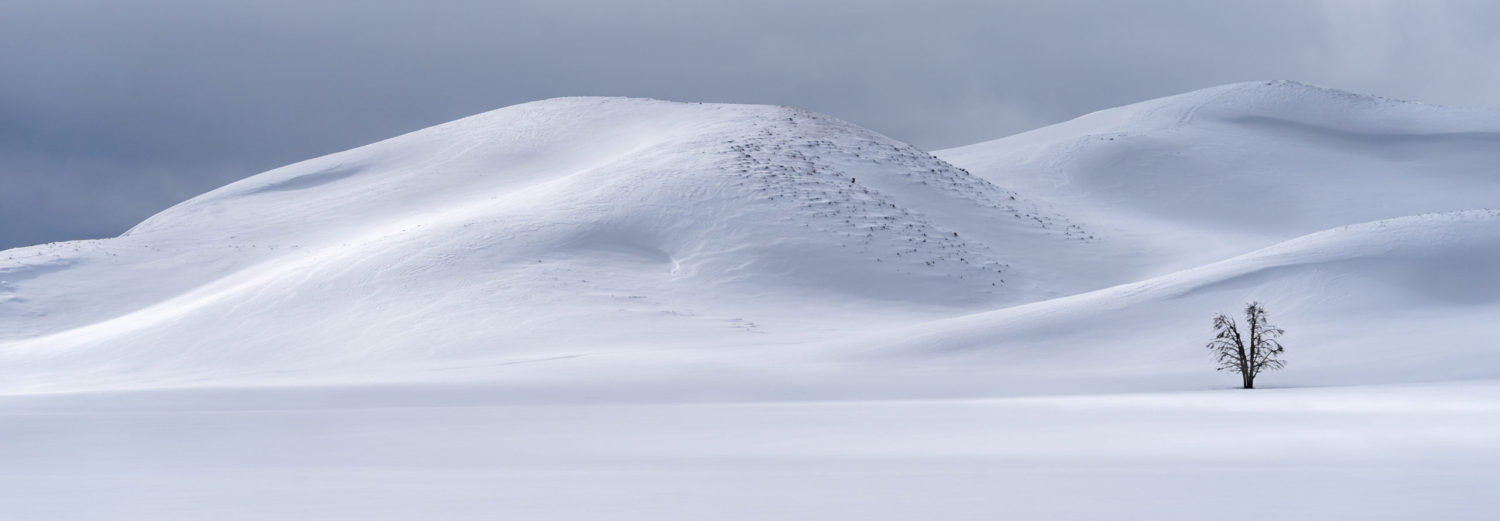 All The Places I Will Go